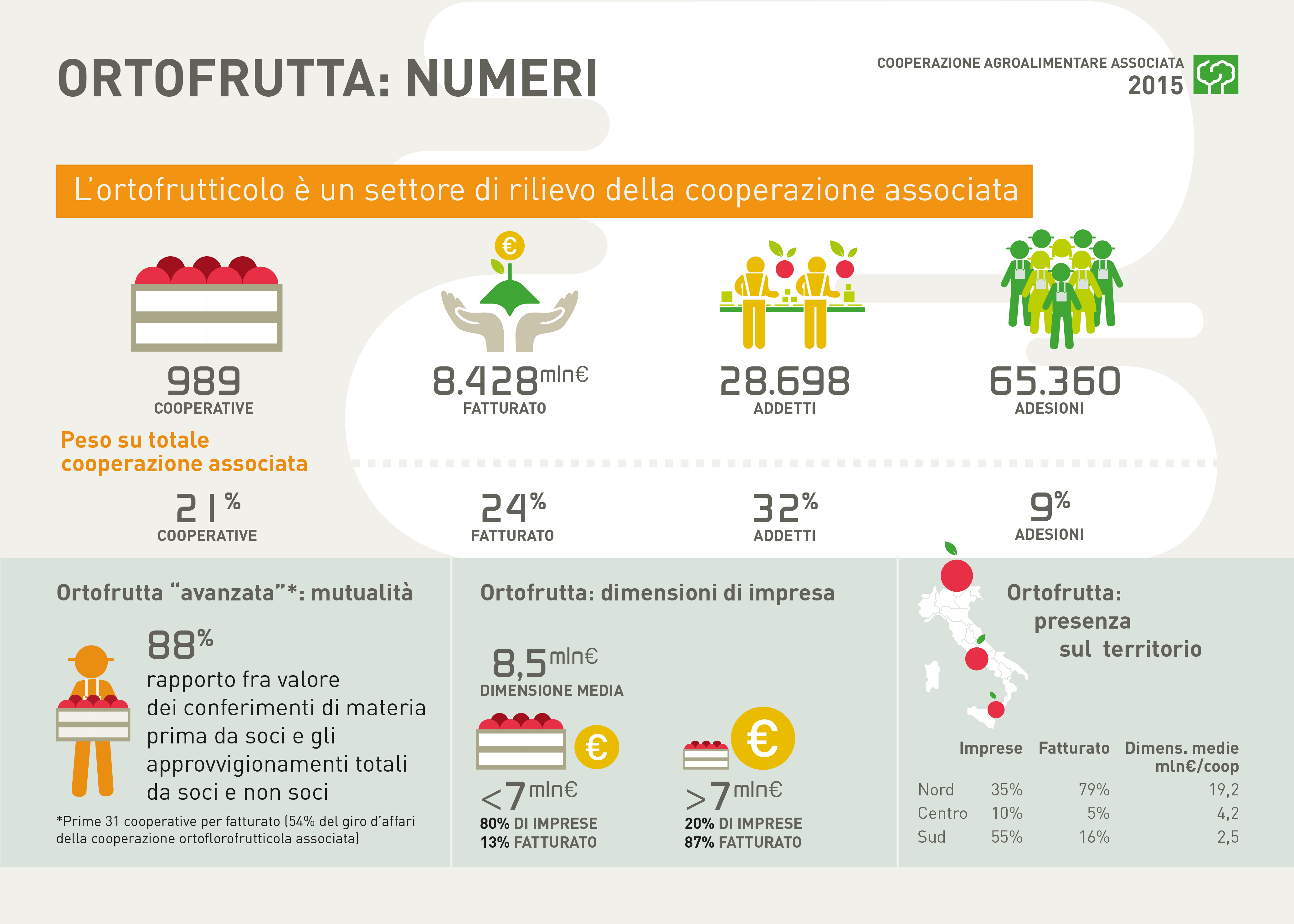 3.1 COOPERAZIONE