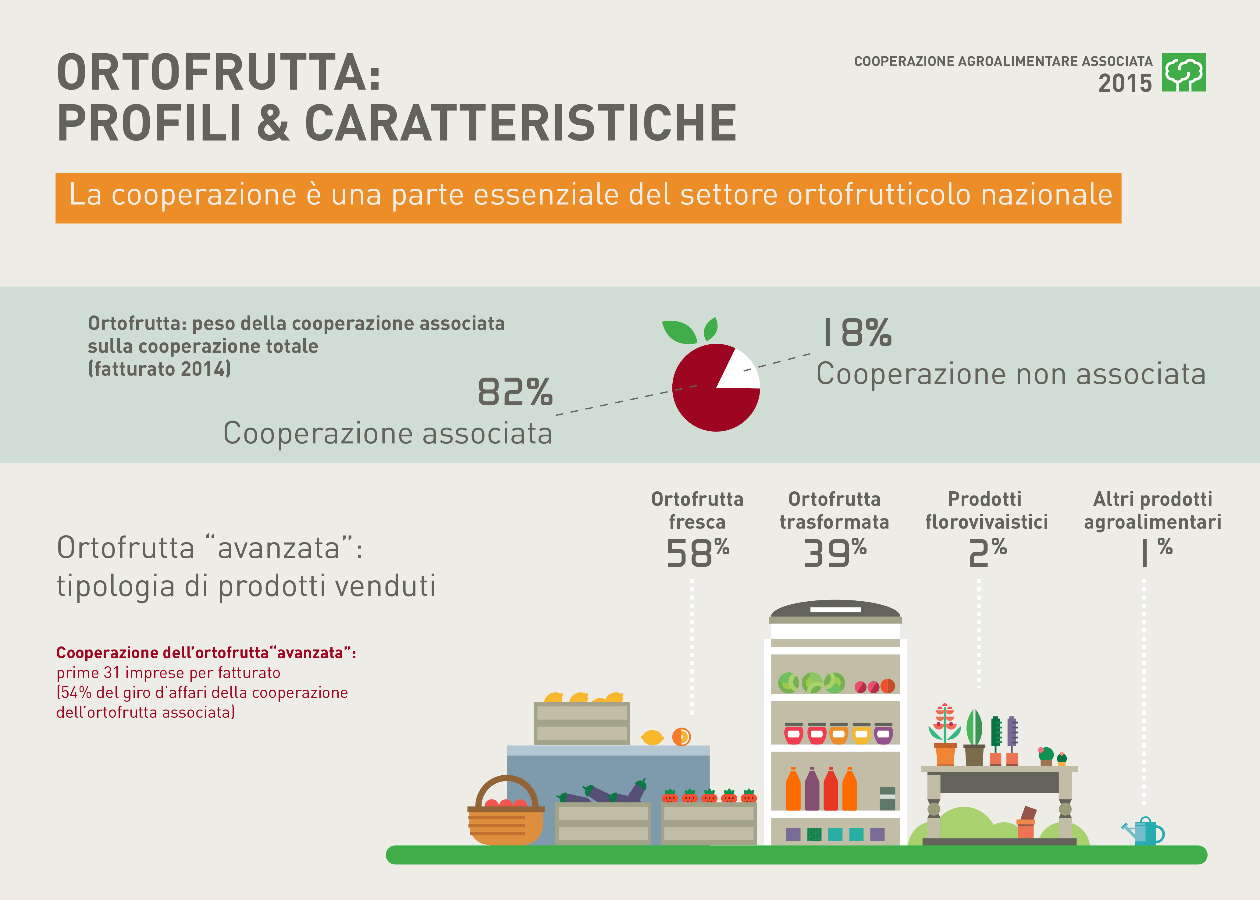 3.2 COOPERAZIONE