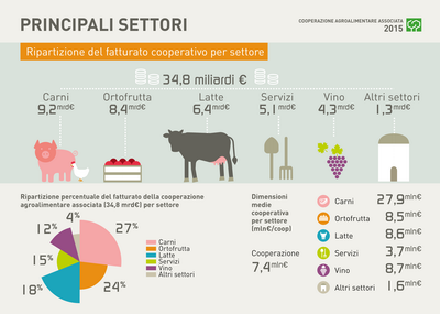 1.2 COOPERAZIONE ridimensionare