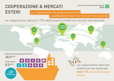 2.4 COOPERAZIONE ridimensionare