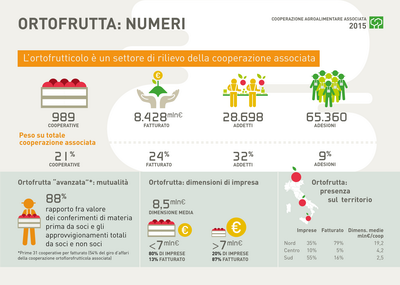 3.1 COOPERAZIONE ridimensionare