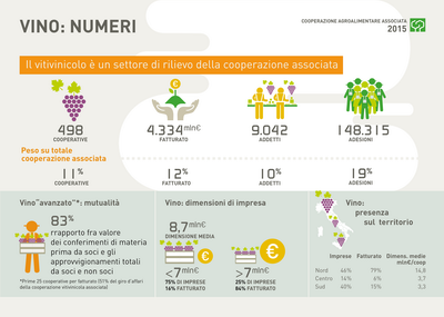 5.1 COOPERAZIONE ridimensionare