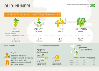 6.1 COOPERAZIONE ridimensionare