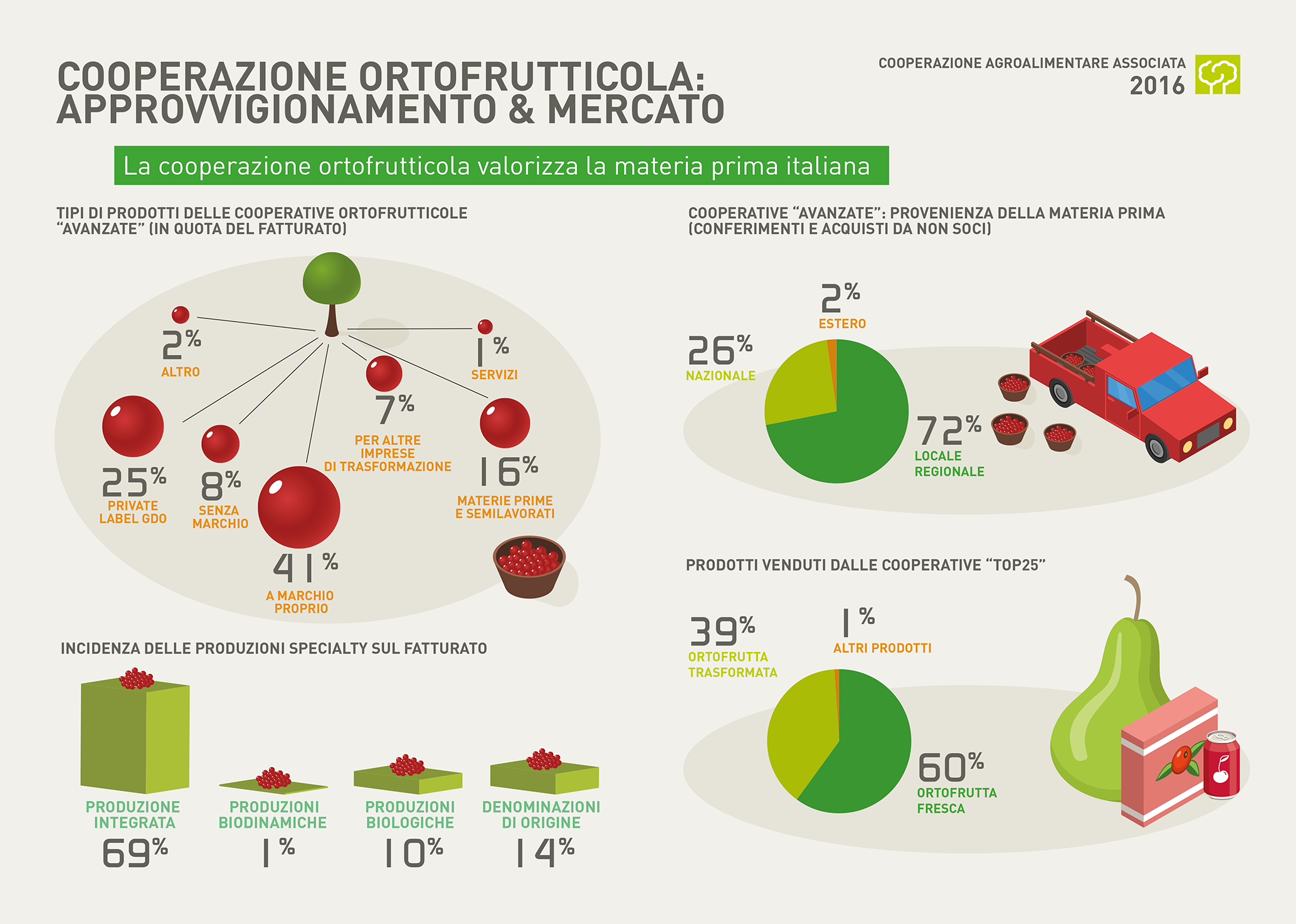 11 COOPERAZIONE