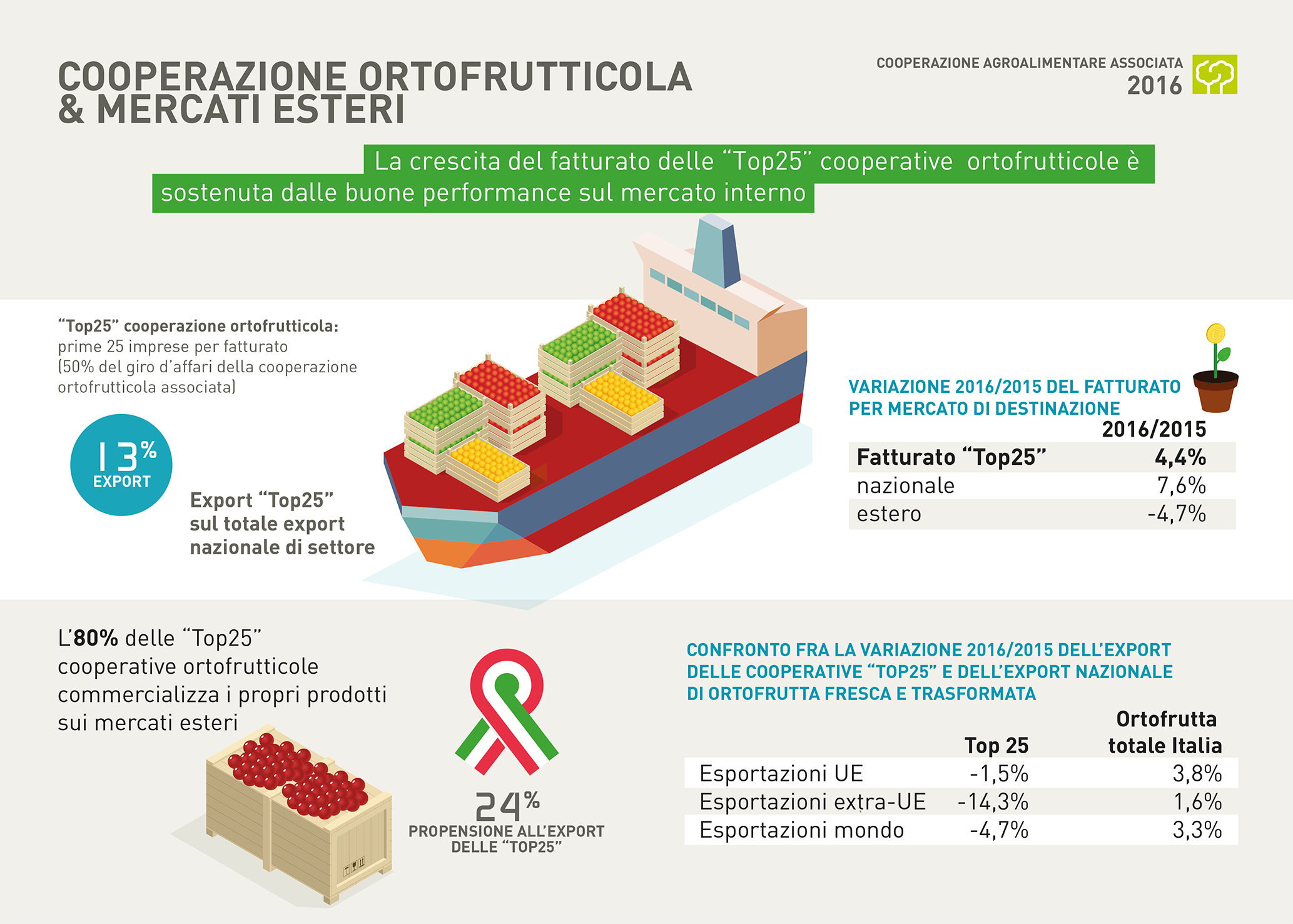 12 COOPERAZIONE