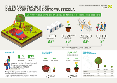 10 COOPERAZIONE ridimensionare