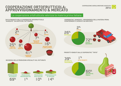 11 COOPERAZIONE ridimensionare