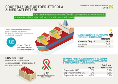 12 COOPERAZIONE ridimensionare