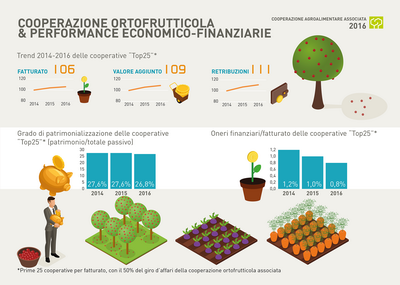 13 COOPERAZIONE ridimensionare