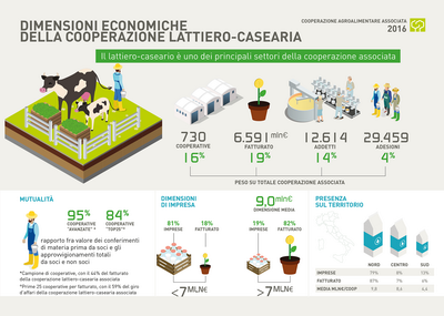 14 COOPERAZIONE ridimensionare