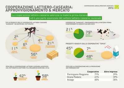 15 COOPERAZIONE ridimensionare