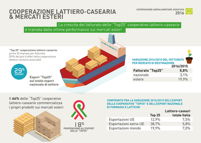 16 COOPERAZIONE ridimensionare