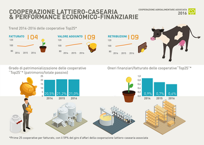 17 COOPERAZIONE ridimensionare