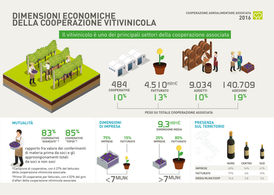 18 COOPERAZIONE ridimensionare