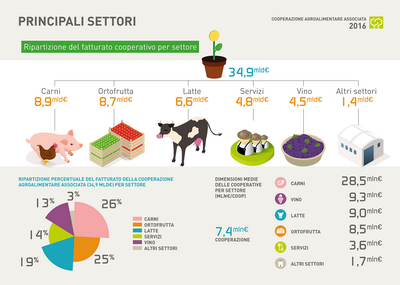 2 COOPERAZIONE ridimensionare