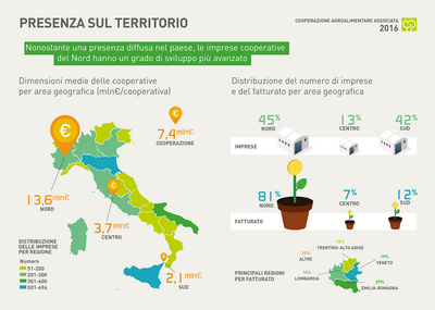 3 COOPERAZIONE ridimensionare