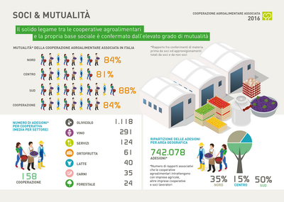 4 COOPERAZIONE ridimensionare