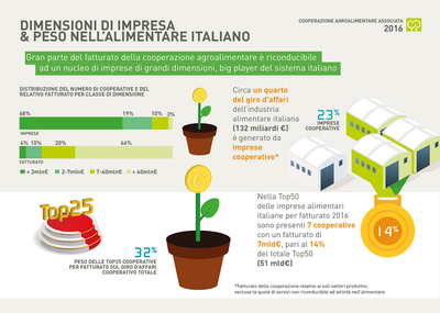 6 COOPERAZIONE ridimensionare