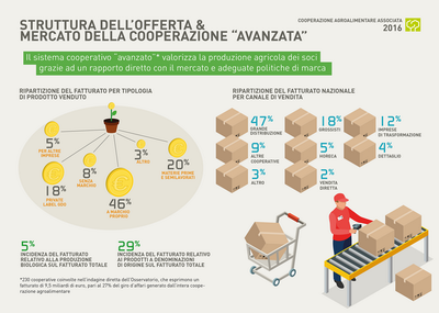 7 COOPERAZIONE ridimensionare